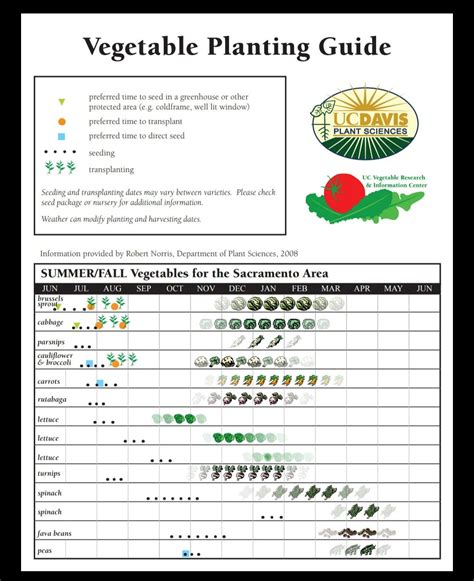 Sacramento Vegetable Planting Calendar